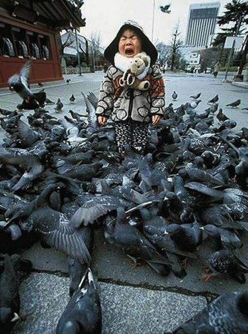 Фото Дети в ужасе! Подборка шокированных детей (30 фото) из раздела  /