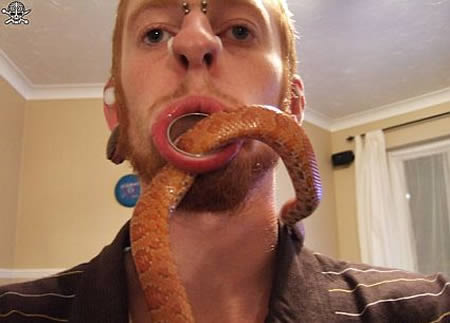 Фото Змею тебе в рот! из раздела  /