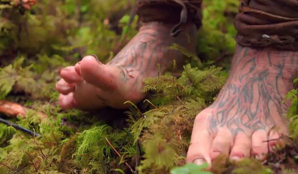 Фото Американский отшельник 25 лет прожил в лесу из раздела  /