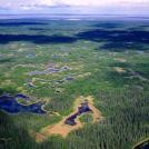 Фото Заповедники размером со страны из раздела /