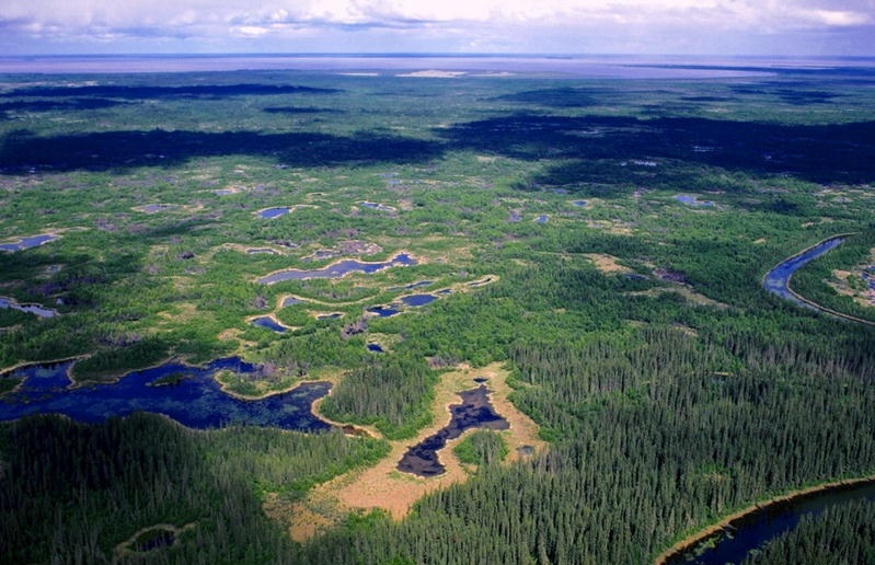 Фото Заповедники размером со страны из раздела  /