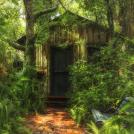 Фото Фотографии по теме «Скрытые миры» (часть 2) из раздела  /