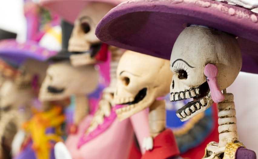 Фото 8. Катрина из раздела  /