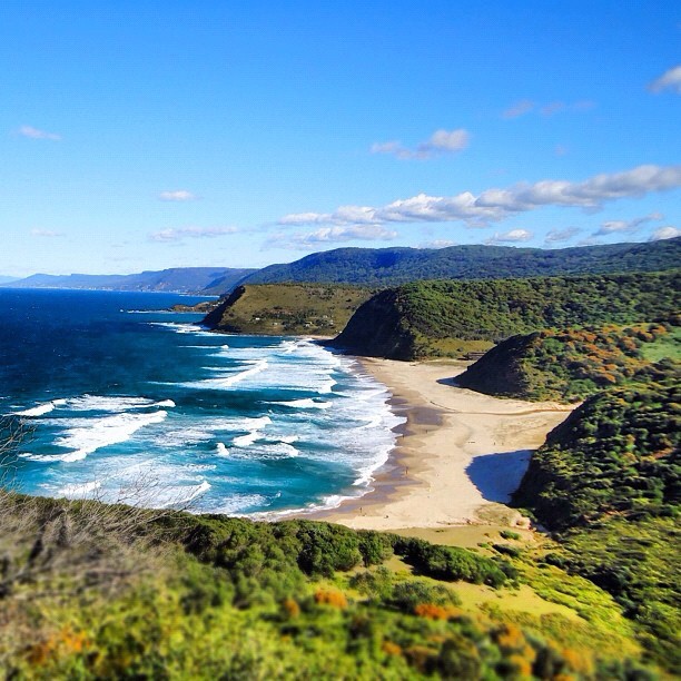 Переезжаем в Австралию? Как россиянину получить австралийскую визу. 8ffb17a1151c018ce4efdacc4f7b2129