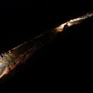 Фото Фотографии по теме «Скрытые миры» (часть 1) из раздела  /