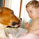 Фото Дети и собаки: лицом к лицу (чудесная подборка из 27 милых фото) из раздела  /
