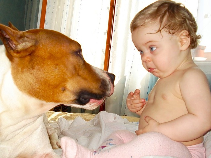Фото Дети и собаки: лицом к лицу (чудесная подборка из 27 милых фото) из раздела  /