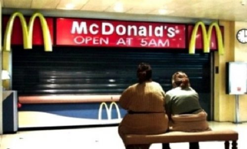 Фото В ожидании завтрака из раздела  /