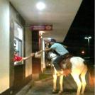 Это я не для себя, а для лошади...