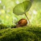 Фотографии по теме «Скрытые миры» (часть 1)