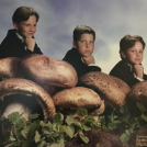 Грибочки - грибочки, без них тут не обошлось...