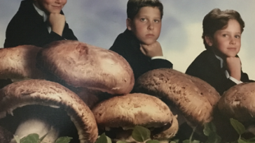 Грибочки - грибочки, без них тут не обошлось...