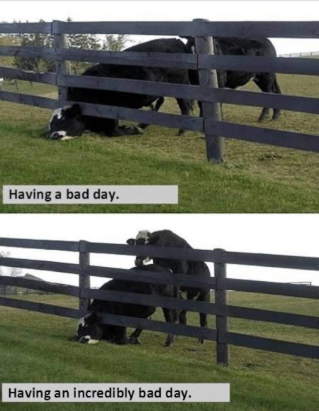 Плохой день! Невероятно плохой день!!!!