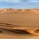 Пустыня Сахара и ее обитатели (%%items%% фото)