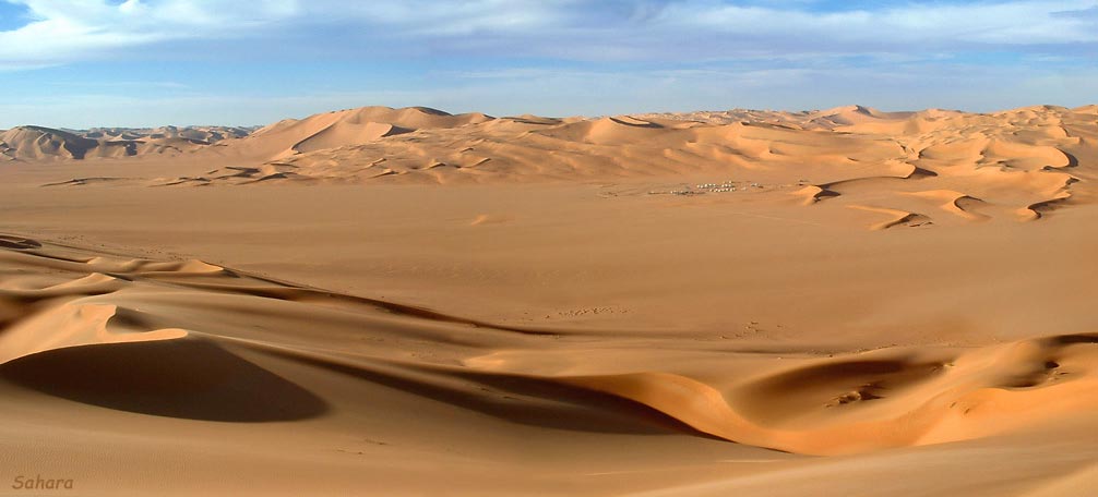 Пустыня Сахара и ее обитатели (%%items%% фото)