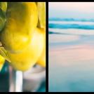 Фото Южная Индия: Две перспективы (короткометражка) из раздела Видео путешествия / Индия