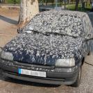 Злые птицы это не всегда забавно