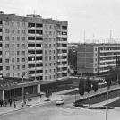 Фото Припять — город-призрак (8 фото) из раздела  /