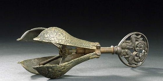 Фото Груша из раздела  /