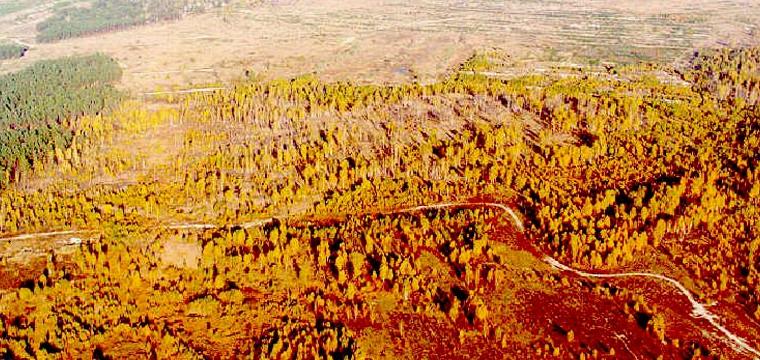 Фото Припять — город-призрак (8 фото) из раздела  /