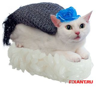 Фото Суши из кошек: расследование из раздела  /