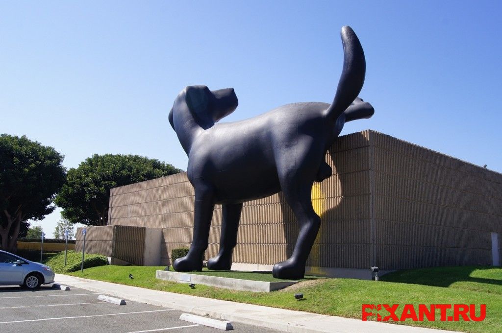 Фото Гигантский лабрадор описал музей из раздела /