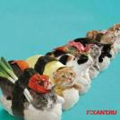 Фото Суши из кошек: расследование из раздела  /