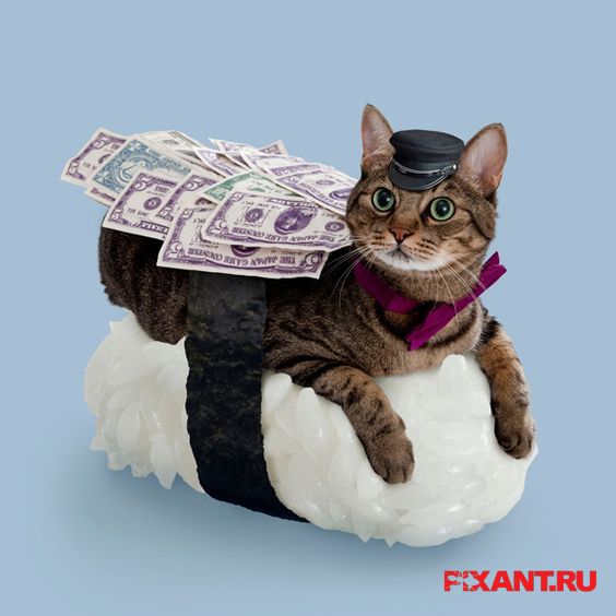 Фото Суши из кошек: расследование из раздела  /