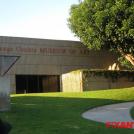 Фото Гигантский лабрадор описал музей из раздела /