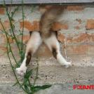 Фото Застрял… из раздела  /