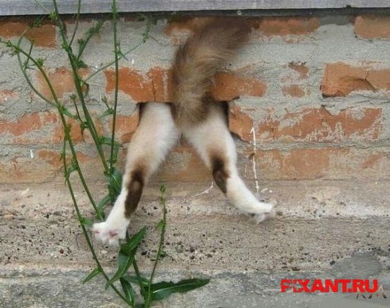 Фото Застрял… из раздела  /