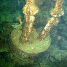 Цементные ботинки