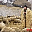 Фото 14 лучших фото с конкурса Sony World Photography Awards 2017 из раздела  /