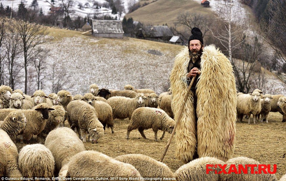 Фото 14 лучших фото с конкурса Sony World Photography Awards 2017 из раздела  /