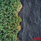 Фото 14 лучших фото с конкурса Sony World Photography Awards 2017 из раздела  /