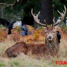 Фото 14 лучших фото с конкурса Sony World Photography Awards 2017 из раздела  /