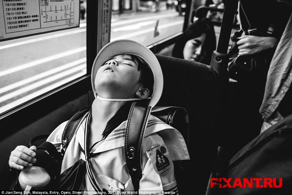 Фото 14 лучших фото с конкурса Sony World Photography Awards 2017 из раздела  /