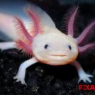 Фото Ксико — город-кратер (9 фото) из раздела  /