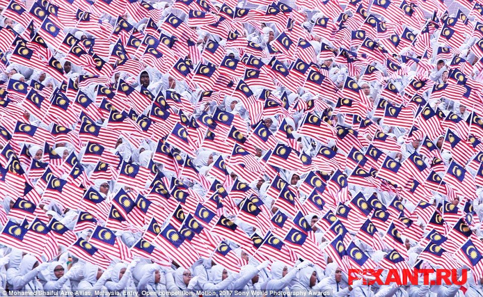 Фото 14 лучших фото с конкурса Sony World Photography Awards 2017 из раздела  /