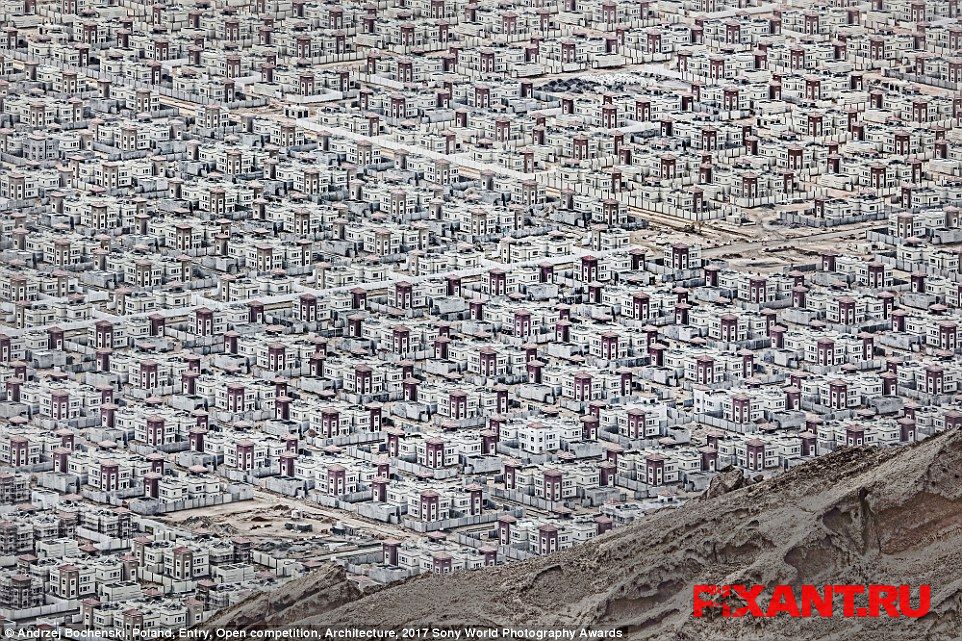 Фото 14 лучших фото с конкурса Sony World Photography Awards 2017 из раздела  /