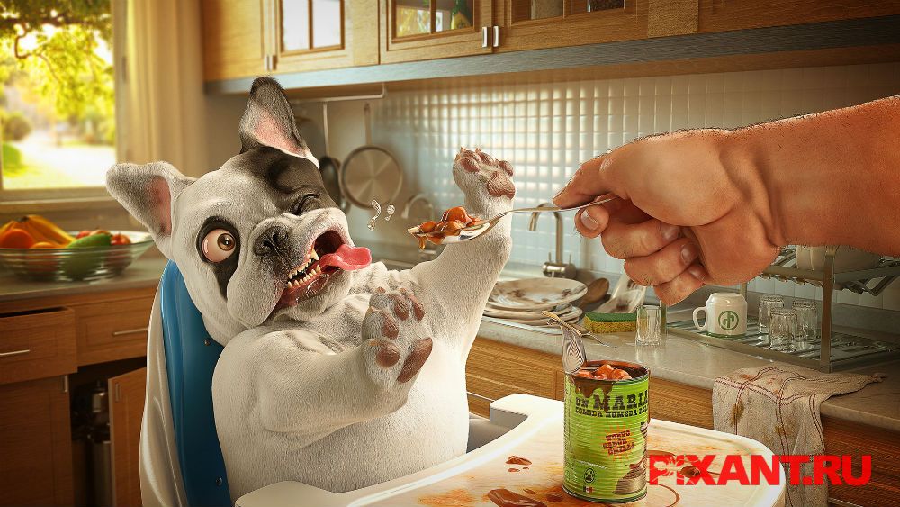 Настоящие причины онкологии у животных