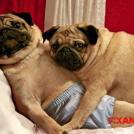 О грамотном подходе к контрацепции