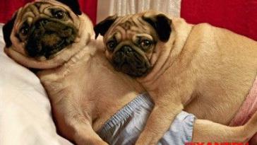 О грамотном подходе к контрацепции