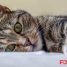 Выберите правильный путь