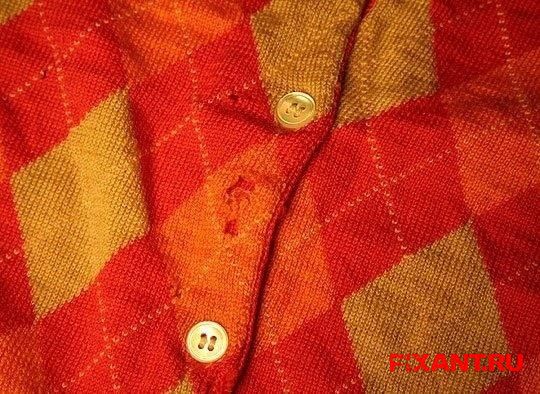 6. Избавление от насекомых