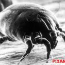 7. Очистка постели