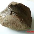 Фото Скульптуры в стиле расплавленного камня (17 фотографий) из раздела  /