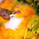 Фото Гомо-зоо-педофилия в новогоднюю ночь на всех голубых экранах страны! из раздела Видео / 6.21