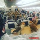 Саудовский принц выкупил 80 мест в самолете для своих соколиков