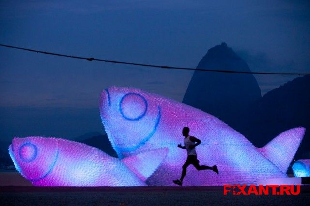 Скульптуры в виде рыб из использованных пластиковых бутылок на пляже в Рио